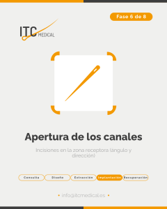 (español) (8)